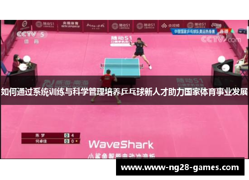 如何通过系统训练与科学管理培养乒乓球新人才助力国家体育事业发展