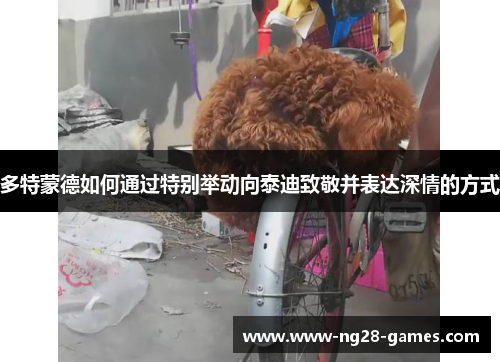 多特蒙德如何通过特别举动向泰迪致敬并表达深情的方式