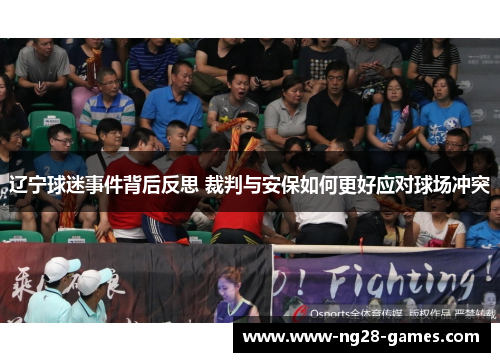 辽宁球迷事件背后反思 裁判与安保如何更好应对球场冲突